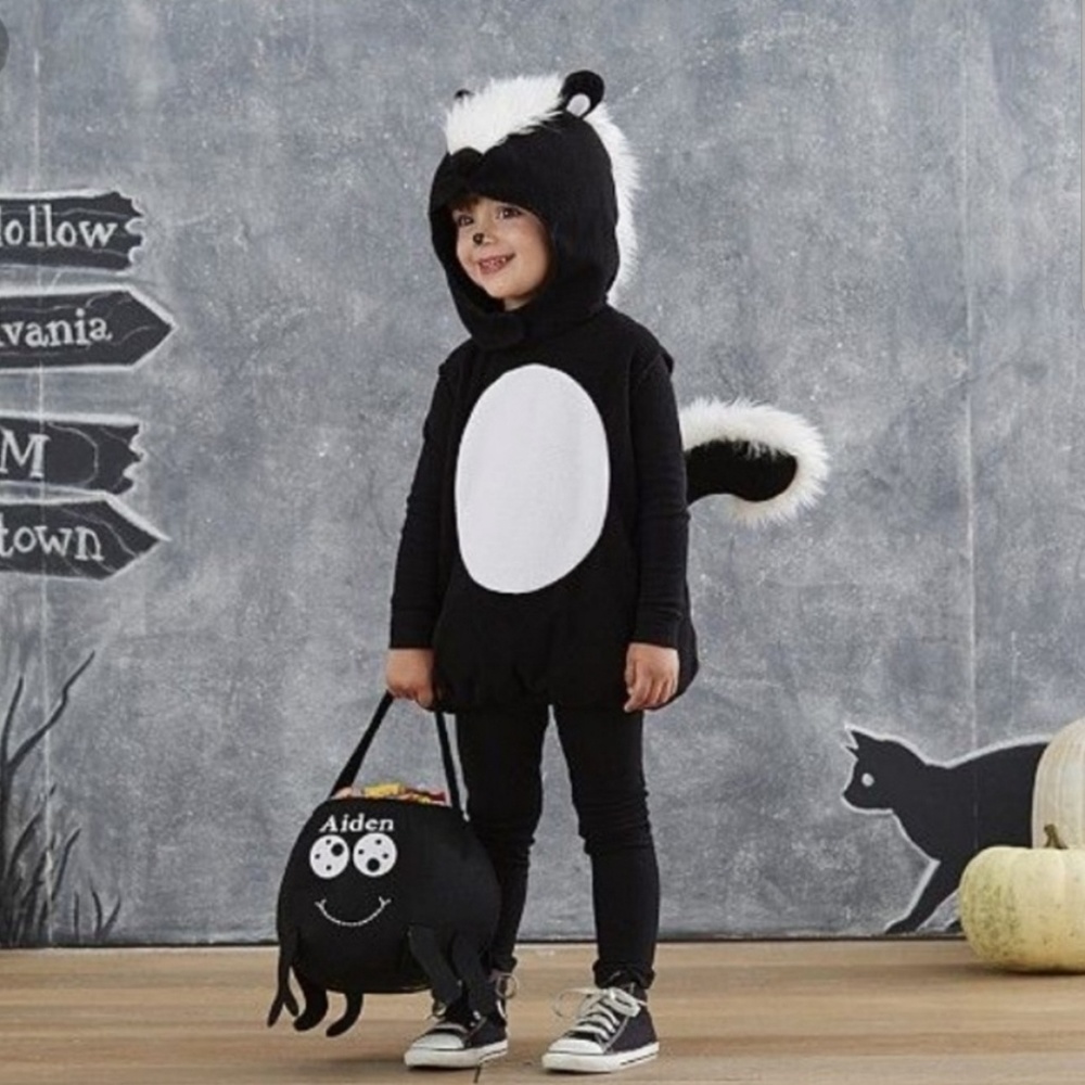 Pottery Barn Kids Skunk costume 2T 3T